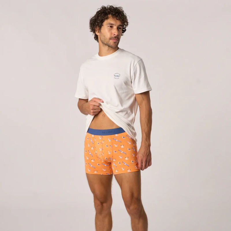 Boxer coton BIO seagull BILLYBELT - 2