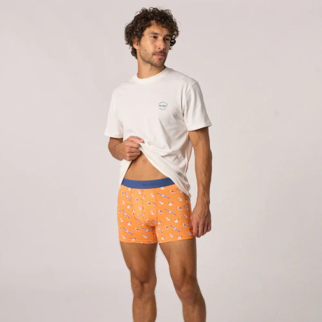 Boxer coton BIO seagull BILLYBELT - 2