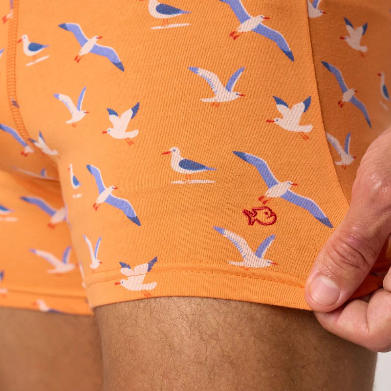 Boxer coton BIO seagull BILLYBELT - 3