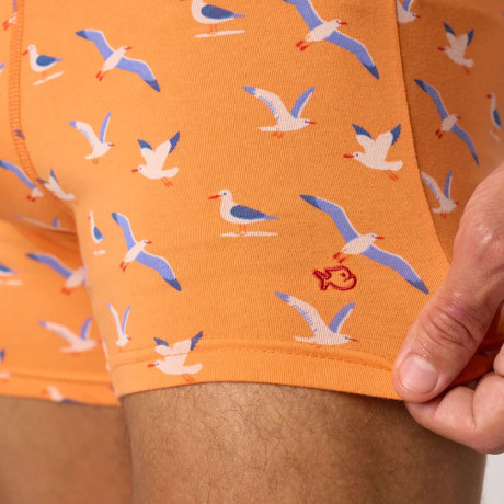 Boxer coton BIO seagull BILLYBELT - 3