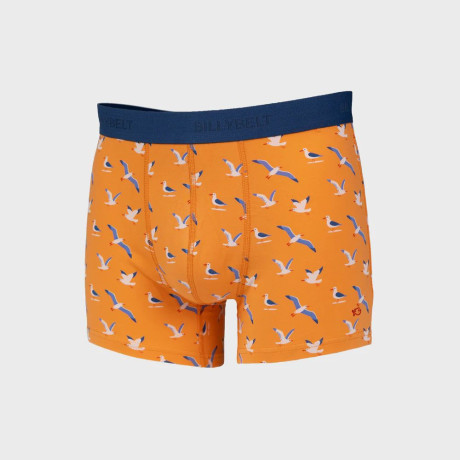 Boxer coton BIO seagull BILLYBELT - 5